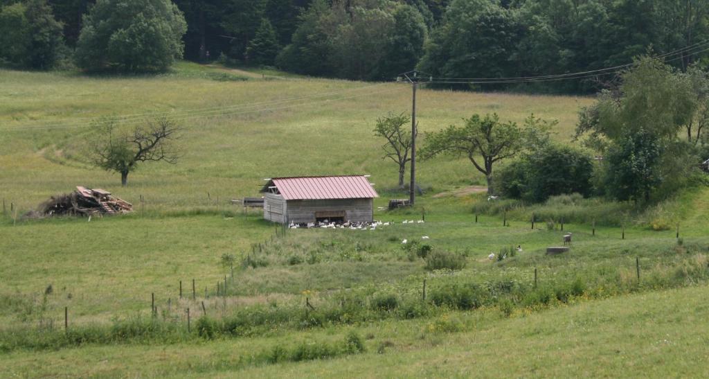 Gites Du Kreuzweg Le Hohwald Bagian luar foto