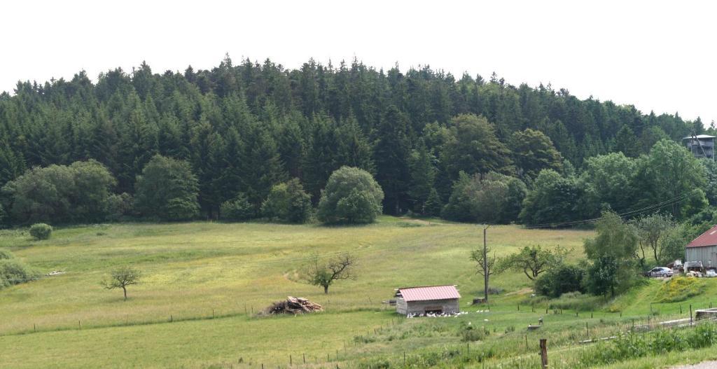 Gites Du Kreuzweg Le Hohwald Bagian luar foto