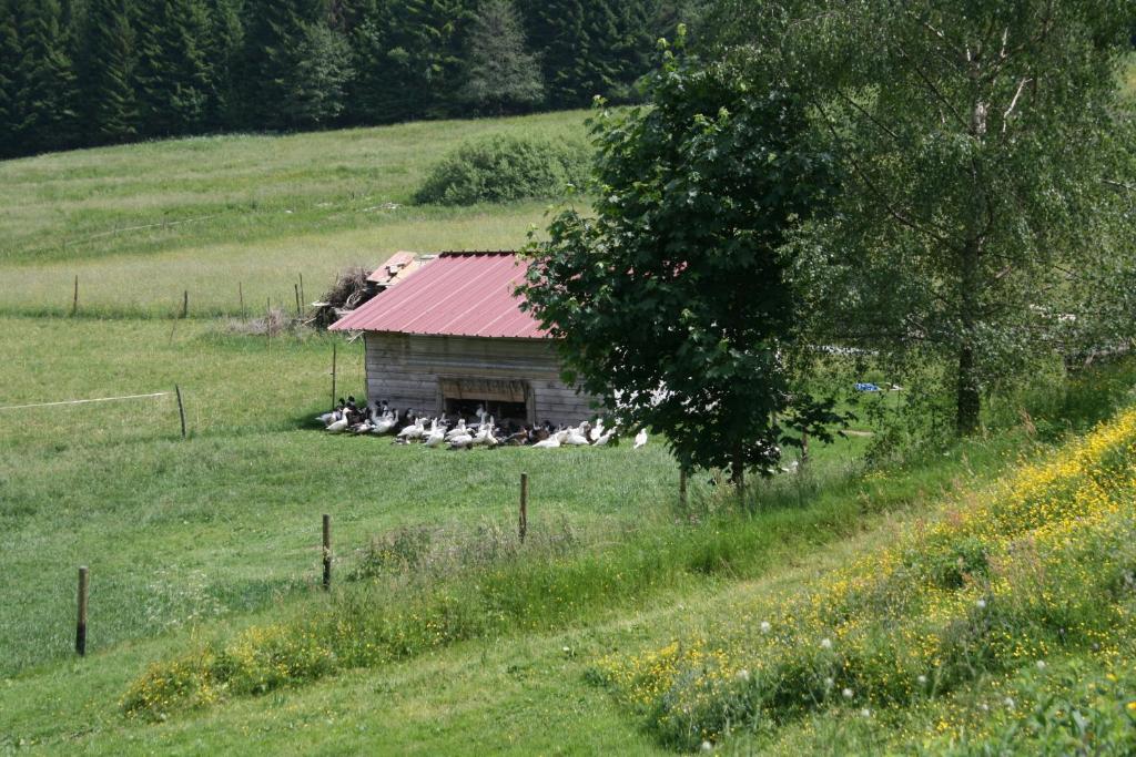 Gites Du Kreuzweg Le Hohwald Bagian luar foto